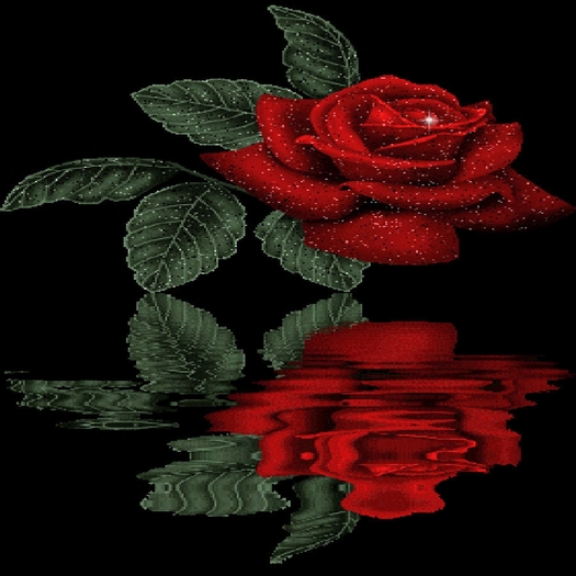 Rose1 Rug