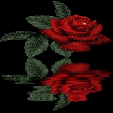 Rose1 Rug