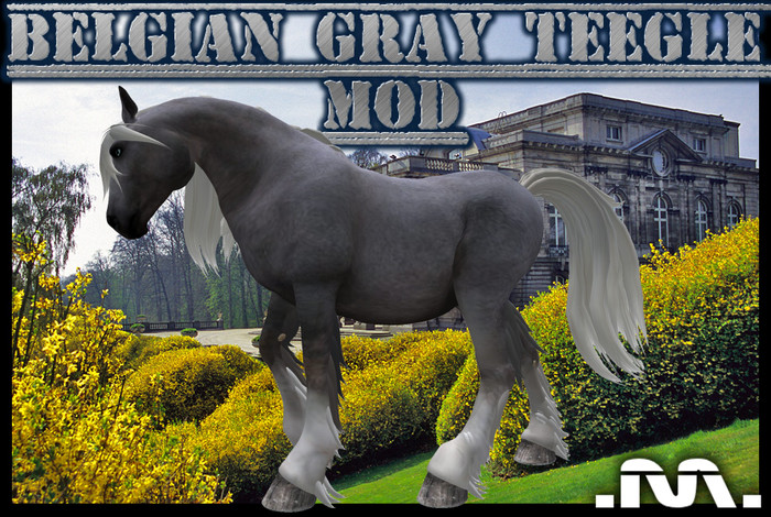 .M. Belgian gray teegle mod