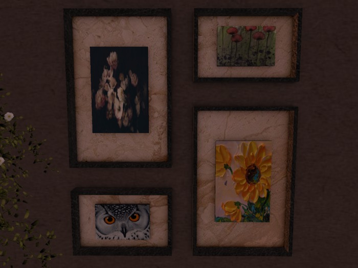 C.M. Grouping Wall Frame Nature - 1PRIM