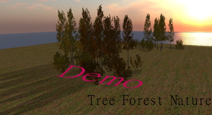 Tree forest nature - A demo