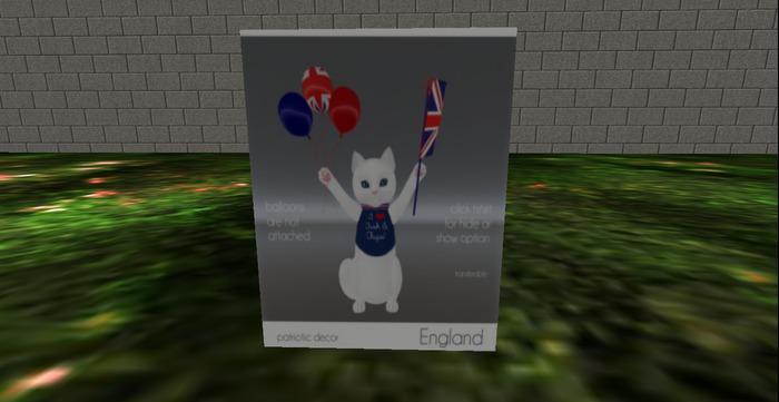Patriotic Cat - England