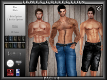 TS-Mens-Shorts-James-#4