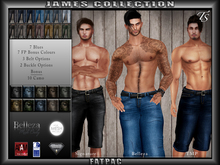 TS-Mens-Shorts-James-Collection