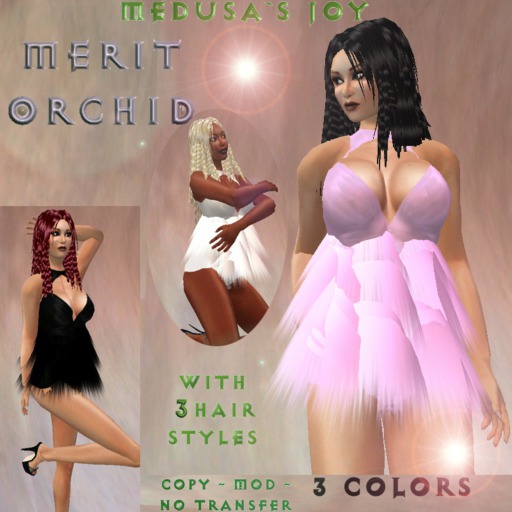 *MJ* Merit orchid