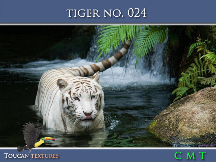 [Toucan Textures] Tiger No. 024
