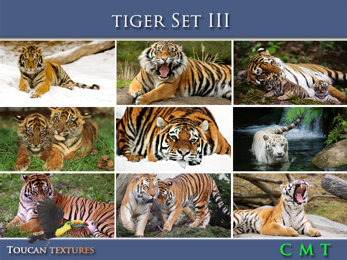 [Toucan Textures] Tiger Set III