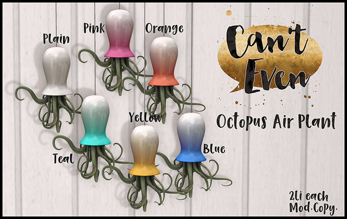 Can't Even - Octopus Air Plant (Teal)