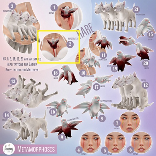 Fawny - Metamorphosis(2).Corrupted Lungs - RARE