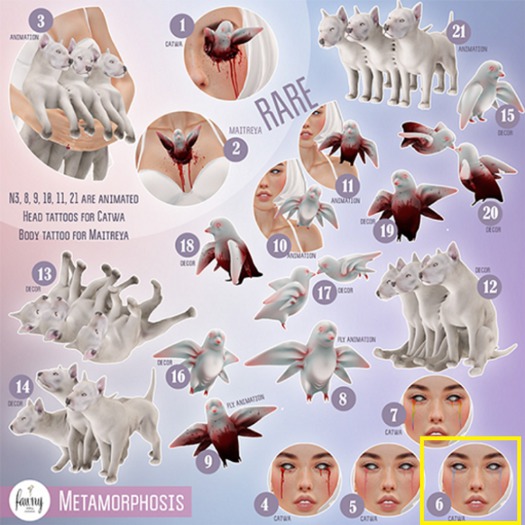 Fawny - Metamorphosis(6).Tears - Blue