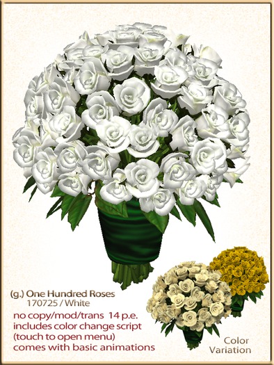 (g.) One Hundred Roses 170725 / White