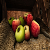 Ardent Artowrks- Apple Basket (boxed)