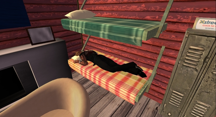 Bart's Bunk  (box contains two separate bunks)