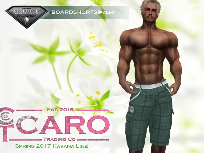 *CTC* BOARDSHORTS (PALM) [BAG]