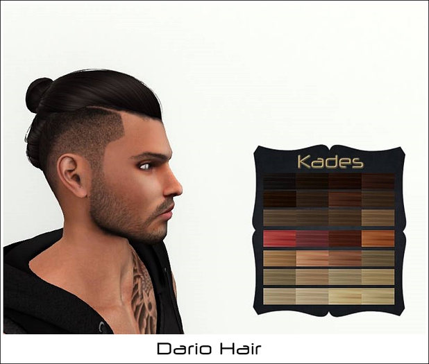 Dario Haare DEMO