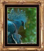 Blue Bird 2