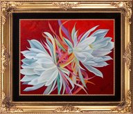 CereusDancing Oil