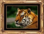 Lentar Framed