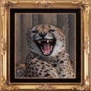 Smiling Cat