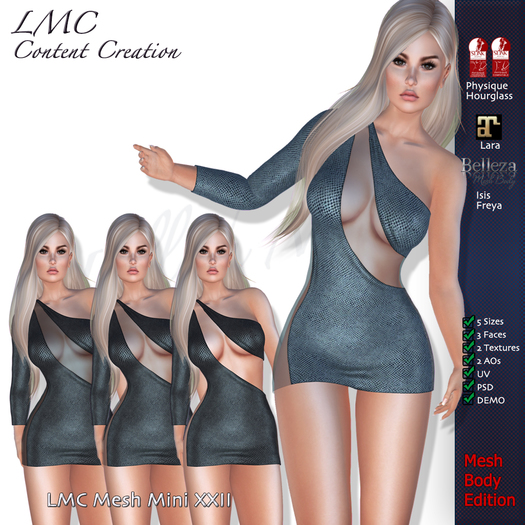 LMC Meshes - Mini 22 - SUMMER SPECIAL - Cut Out Sheer Panel Mini