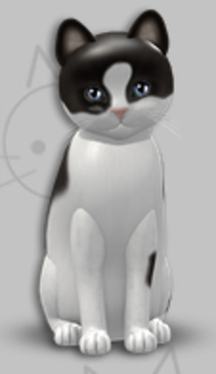 KittyCatS Box - Chateau Cat C&W 2/2T/Male/Tapestry Allure