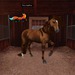 Snapshot kaotic shadow herd le petit trianon %28145 119 25%29