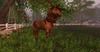 Snapshot 002