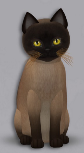 KittyCatS Box - 7T Tonk Champ F Gen Sunshine