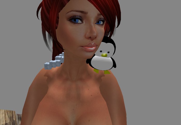penguin pet collar(boxed)