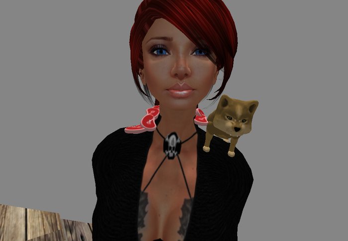 wolf pup collar(boxed)