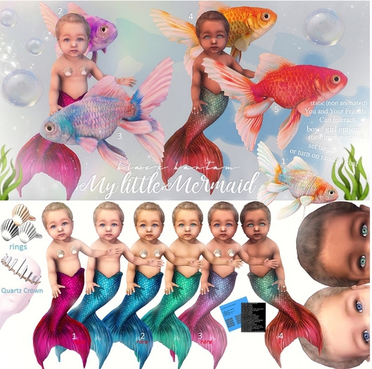 *[BB] Seashell Ring Set