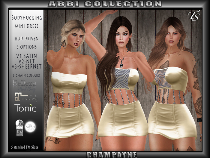 TS-Abbi-Collection-Champayne