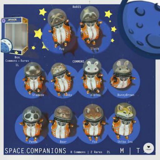 -Pixicat- Space.Companion (Pug) RARE