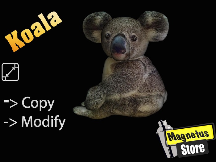 Koala