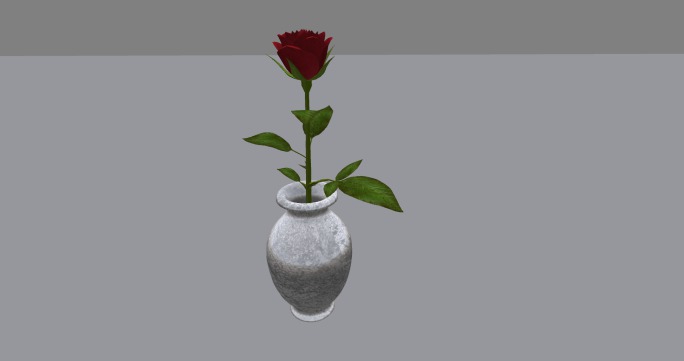 Miss you-Single Red Rose