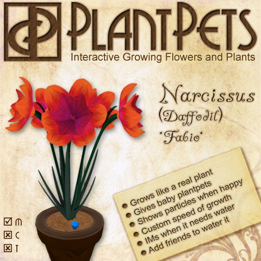 PlantPet Seed [Narcissus *Fabio*]