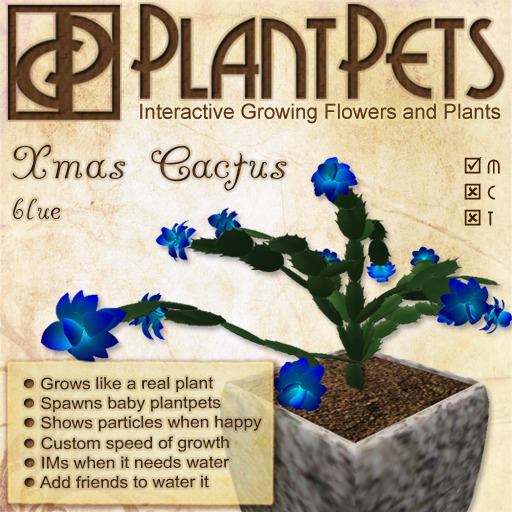 PlantPet Seed [Xmas Cactus *Blue*] SEASONAL