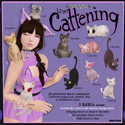 darkendStare. The Cattening - Cling (All Colors) RARE