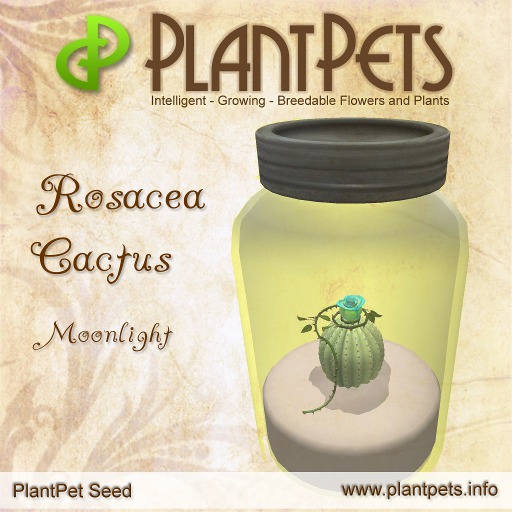 PlantPet Seed [Rosacea Cactus *Moonlight*]