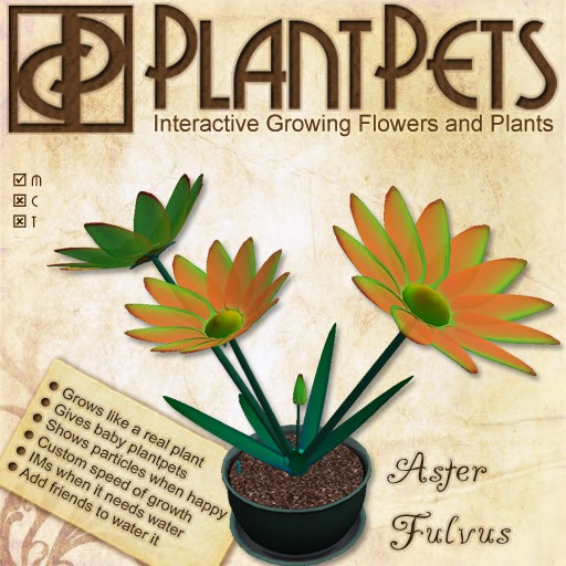 PlantPet Seed [Aster *Fulvus*]