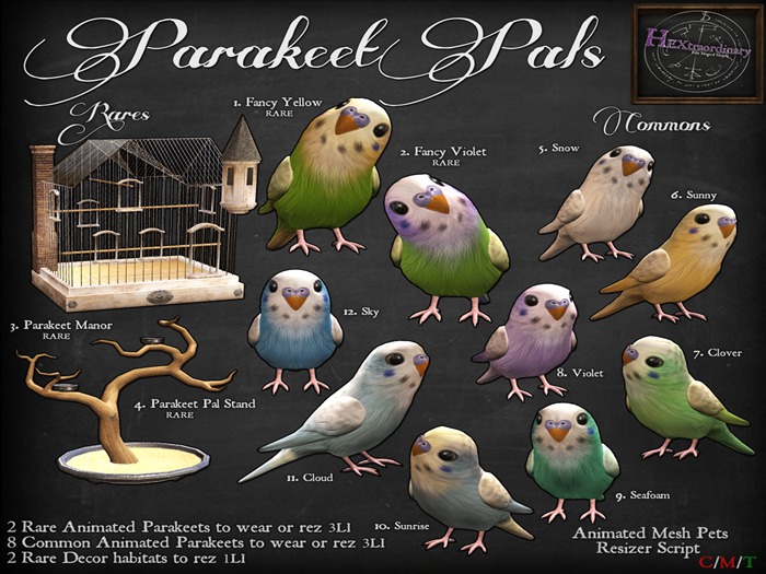 12. *HEXtraordinary* Parakeet Pal - Sky
