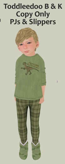 -Ragamuffins- Paleontologist PJs TD