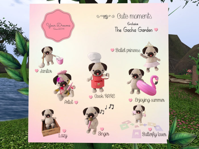 {YD}Cute moments - Cook RARE