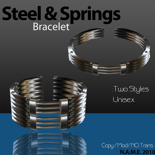 (N.A.M.E.) Steel & Springs Bracelet