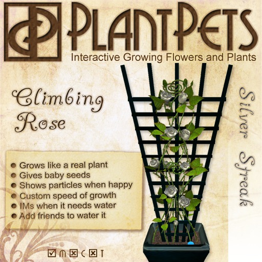PlantPet Seed [Climbing Rose *Silver Streak*]