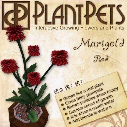 PlantPet Seed [Marigold *Red*] COMMON