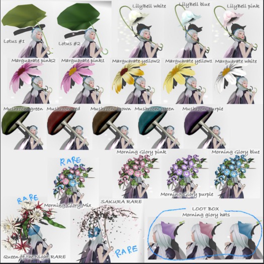 *N*Mushroom umbrella#PPL