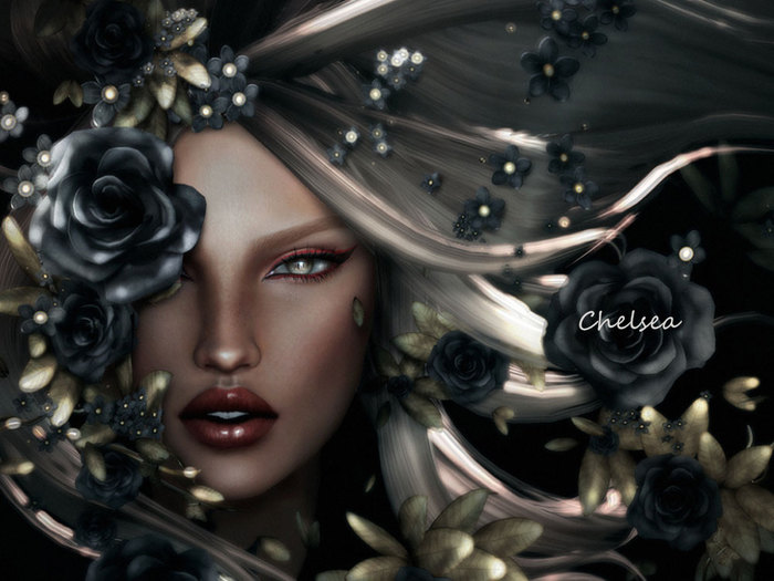 CrystalCleary - Chelsea BENTO Shape