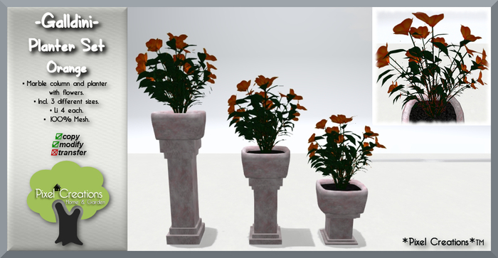 [PC] Galldini - Planter Orange (Boxed)