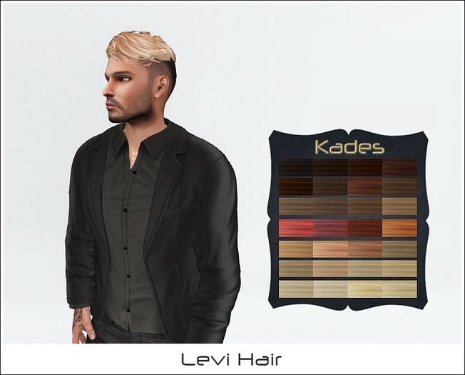 Levi Hair DEMO